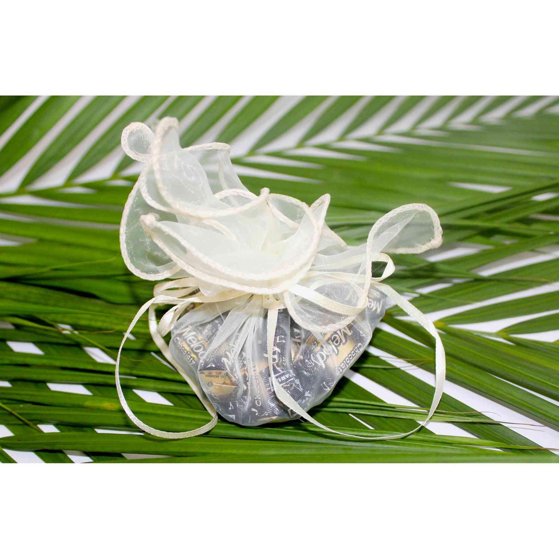 Indian Petals Durable Reusable multi-purpose Translucent Net with pull Strings Gift Bag Potli (Pack of 10) Holds Up to 2Kg, Ivory - Indian Petals